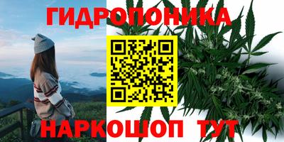 стафф Нягань