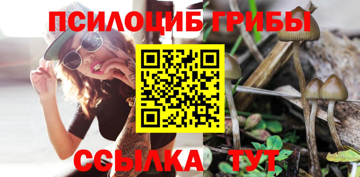 Галлюциногенные грибы мицелий  Вход с VPN  Псилоцибиновые грибы Cubensis  купить наркоту  Альметьевск 